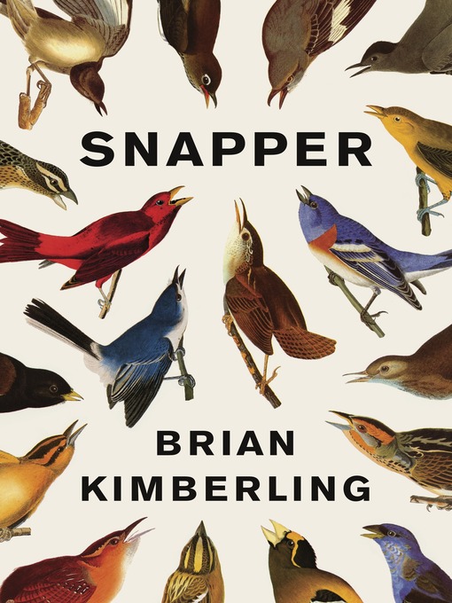 Title details for Snapper by Brian Kimberling - Wait list